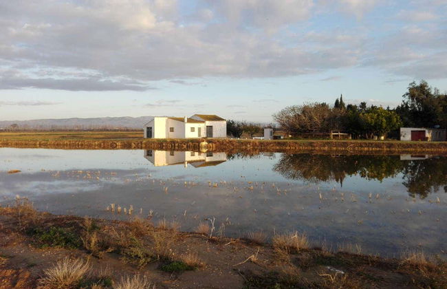 Tour por el Delta del Ebro - Foto 2