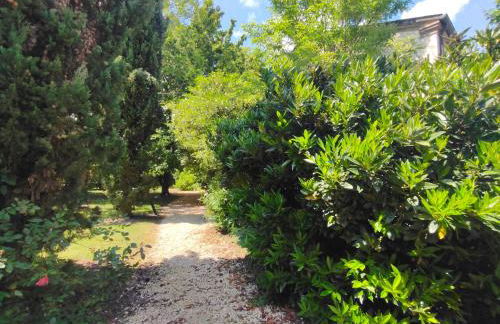 Casale Del Leon - Foto 44