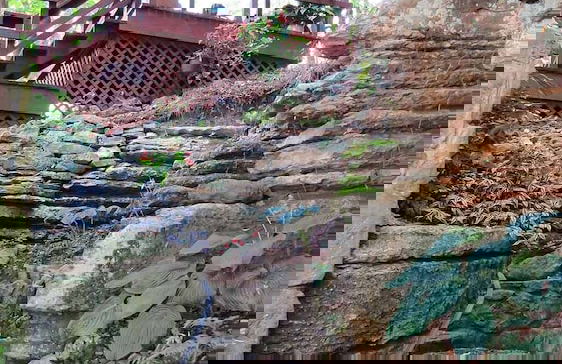 BENTON PLACE INN - Foto 10