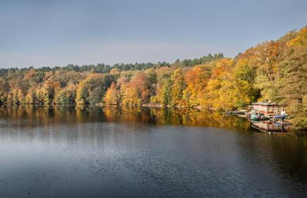 SEEZIEGE Uckermark - Ferienwohnungen am Carwitzer See - Foto 31