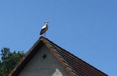 Gutshaus Zarnewanz - Foto 15