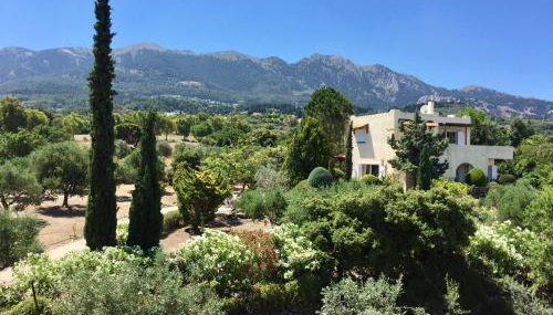 Carpe Diem - Photo 5