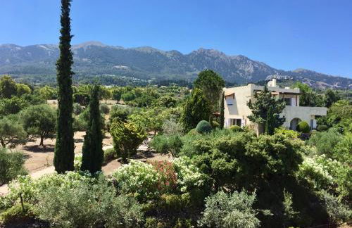 Carpe Diem - Photo 5