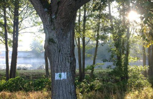 Hundeurlaub im Tiny House im Wald - Foto 67