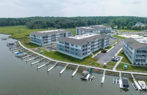 Sunshine Manifested - Foto 3