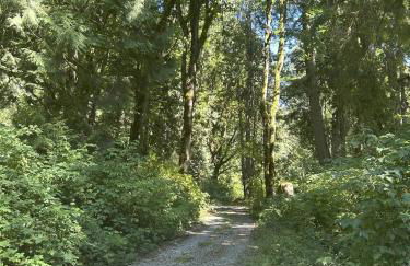 Secluded Off-Grid Retreat> Cabins+Hiking+Waterfall - Foto 45