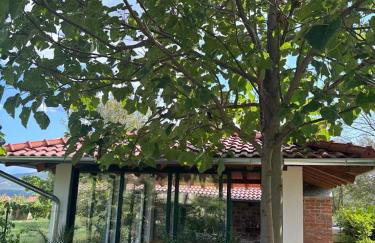 STONE HOUSE VLASTA - Foto 65