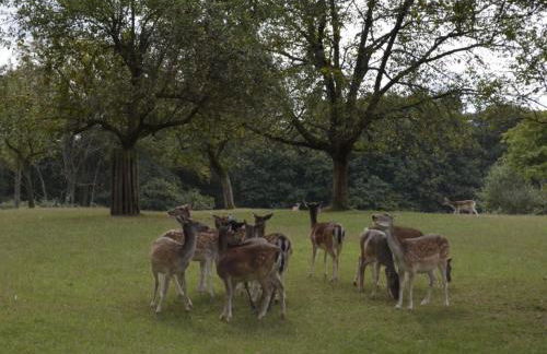 Pension Sonnenberg Comfortable holiday residence - Foto 45