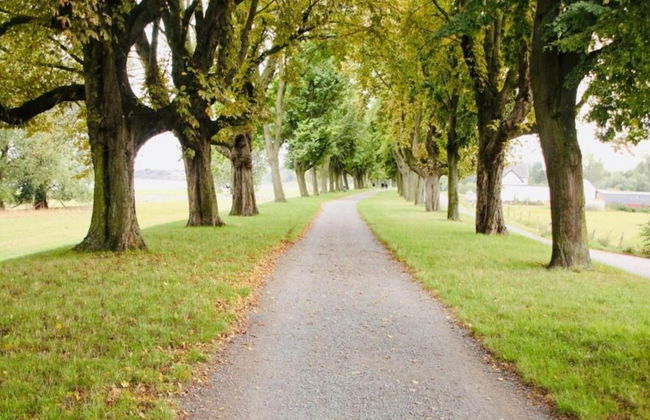 Apartment With Balcony, Neuss - Foto 33