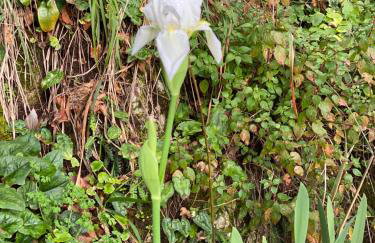 Gauro casa vacanze - Foto 65