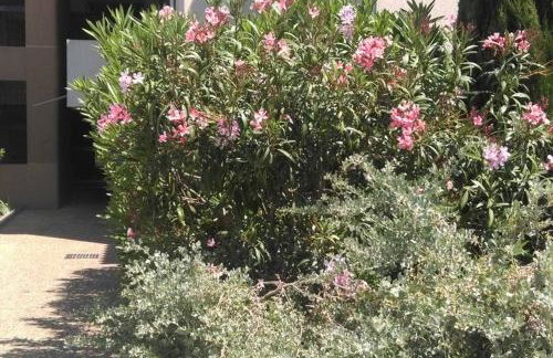 Particulier loue T3 en rez de jardin à 30 mètres de la plage avec un double box - Photo 7