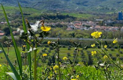 GArt House Holiday Home - Foto 12