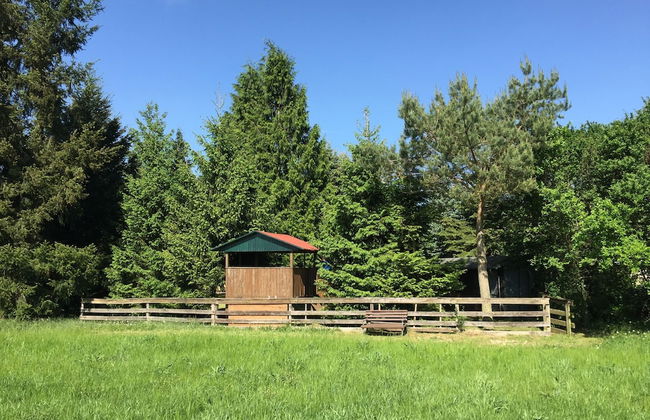 Ferienhaus Mirow-Lärz - Kamin Wald Ruhe - Foto 28