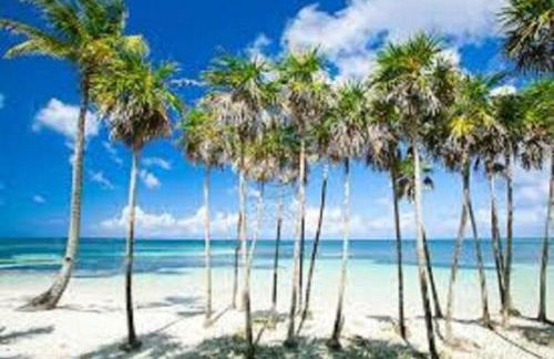 Lorcrimar Puerto Banus - Foto 35