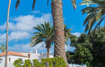 The Jade Flower - Photo 21