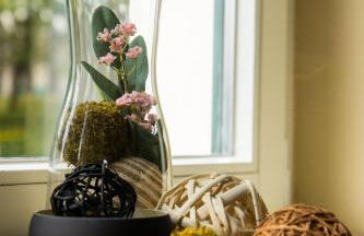 Forsthaus Edelburg Ferienhaus - Foto 14