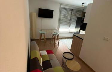 Appartement de 5 chambres à Toulouse - Foto 14