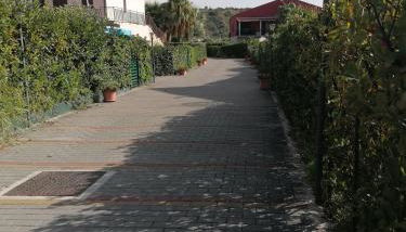 Stella marina - Foto 5