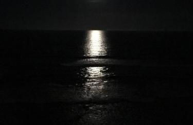 Opus Condominiums - Photo 33