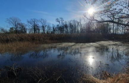 Contrada d'Amore - Foto 13