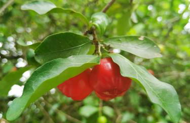 Tranquilidade e linda vista da lagoa - Foto 21