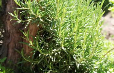 Ansitz Grustdorf - Foto 61