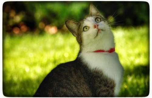 Apartament Hortensjowy Zakątek - Foto 54