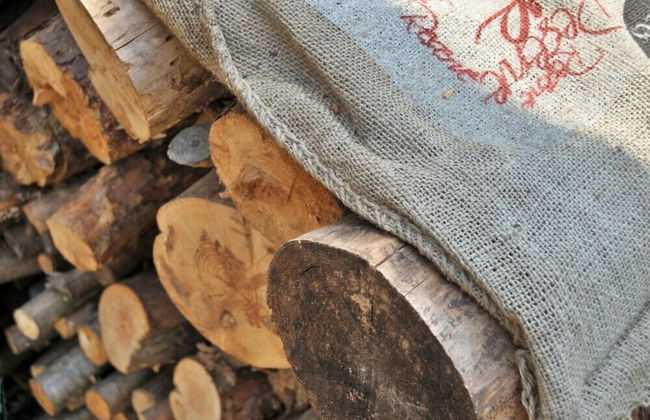 Castel on the hill pension - Photo 45