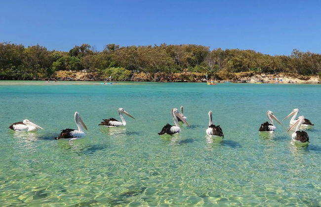 Lilys Studio - Photo 12