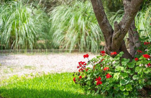 Luna Azul - Photo 25