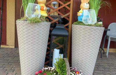 Agro na Wapniarni - Foto 33