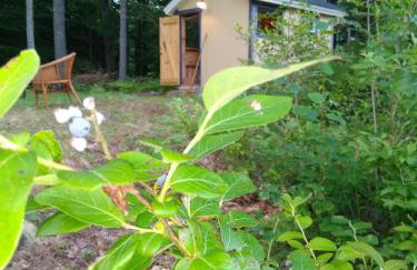 Red Cabin & Sauna on Lake Monomonac - Foto 63