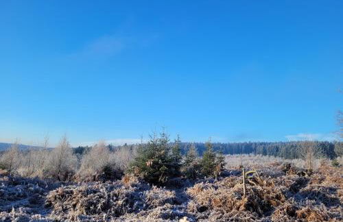 Hunsrücker Tiny Ferien L - Foto 50