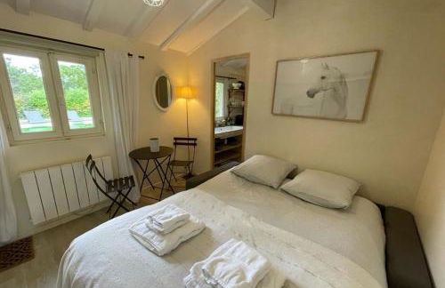 Le Mas - House with swimming pool in a privileged environment - Photo 32