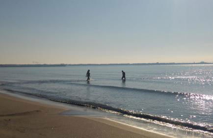 Gîte de vacances en Camargue ☆☆NN - Photo 20