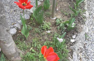 Villa Salvini - Foto 30