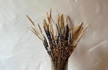 Ferienhaus // Waldlerhaus - Bayern - Bayerischer Wald - Foto 30