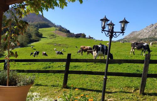 Cabaña del Jerreru - Foto 21