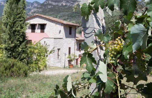 Agriturismo I Melograni - Foto 16