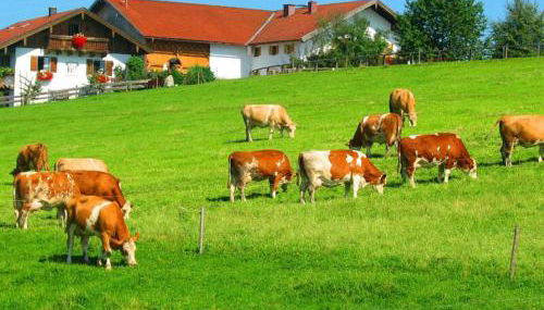 Plattenberger Hof - Photo 2