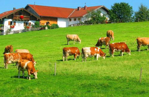 Plattenberger Hof - Photo 2