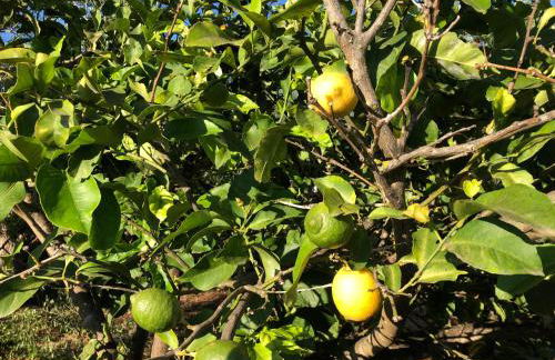 Beautiful Farm House - Foto 24