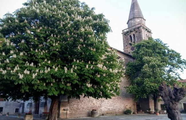 Holiday Home Daska - Photo 30