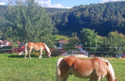 Bergfeldhof - Photo 14