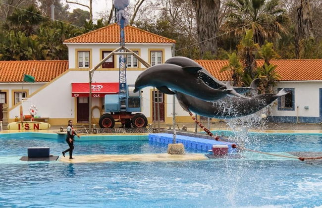 Casa do Pedro Lisbon South Bay - Foto 10