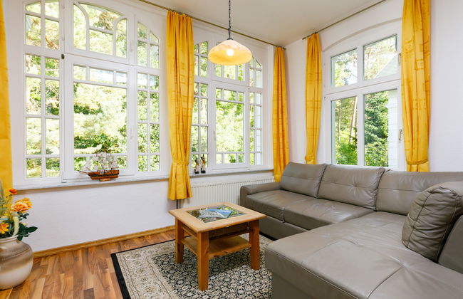 Sonnenblume - Foto 6