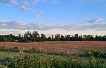 Domek w polu - Foto 32