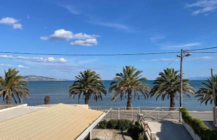 Blue Mind House - Foto 1