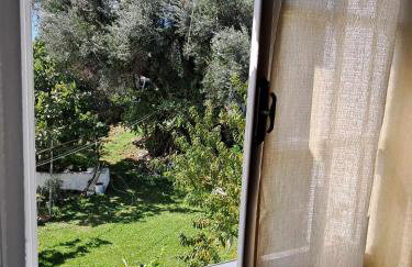 Kostas House - Foto 15