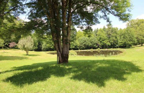 Marie antoinette - Foto 32